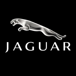 Jaguar hours
