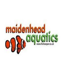 Maidenhead Aquatics hours