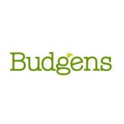 Budgens hours