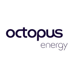 Octopus Energy hours