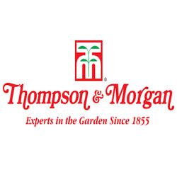 Thompson & Morgan hours